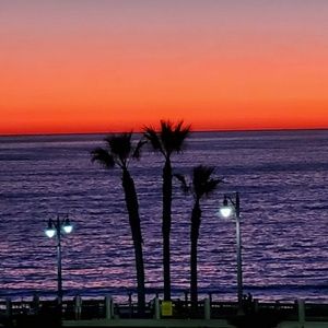 Meet your Posher, Cynthia